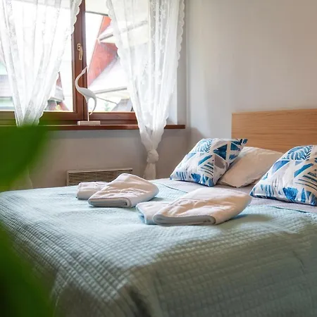 Apartament Apart4you Boruta
